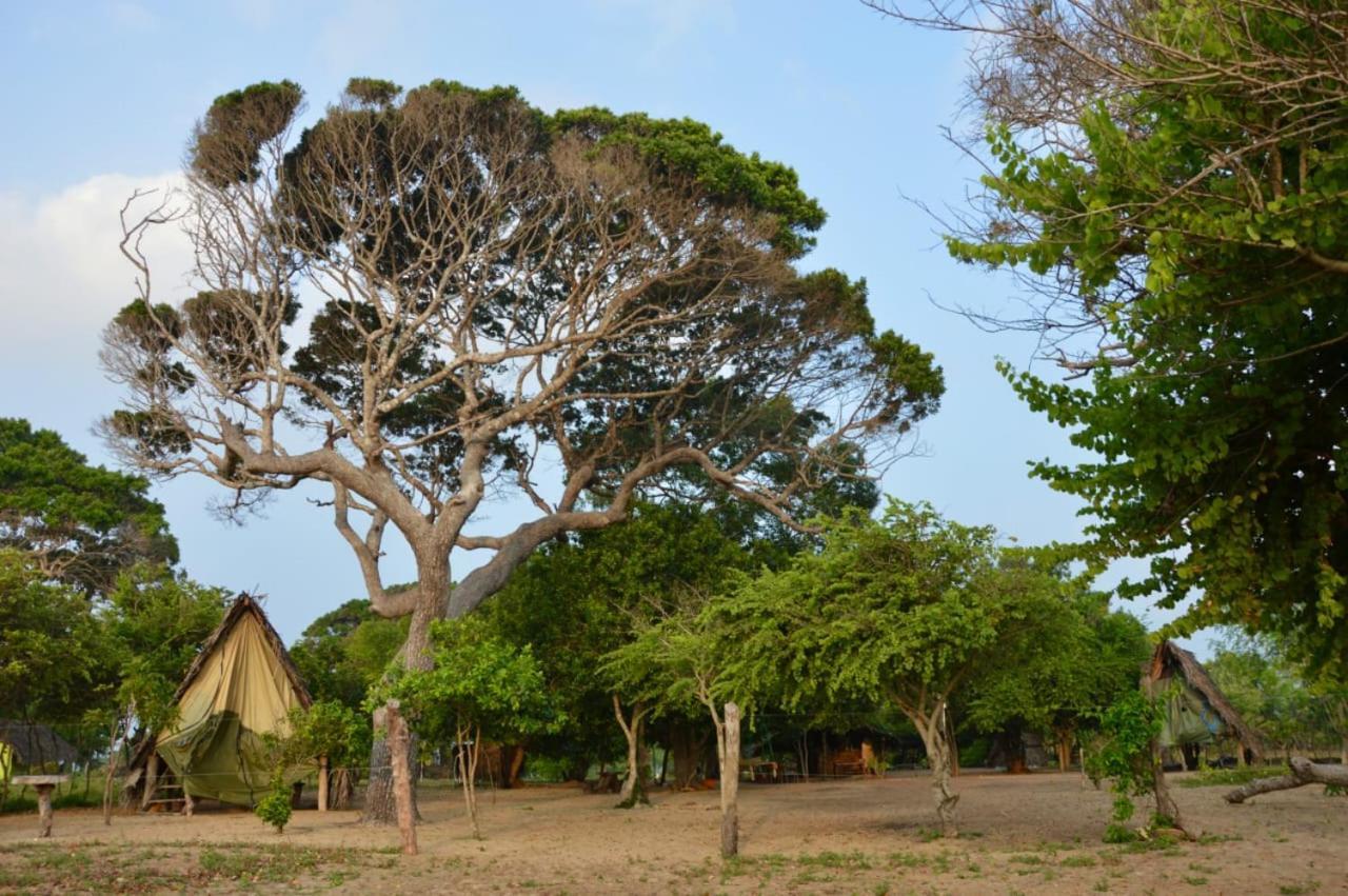 Surfing Lion Hostel Arugam Bay Exterior foto
