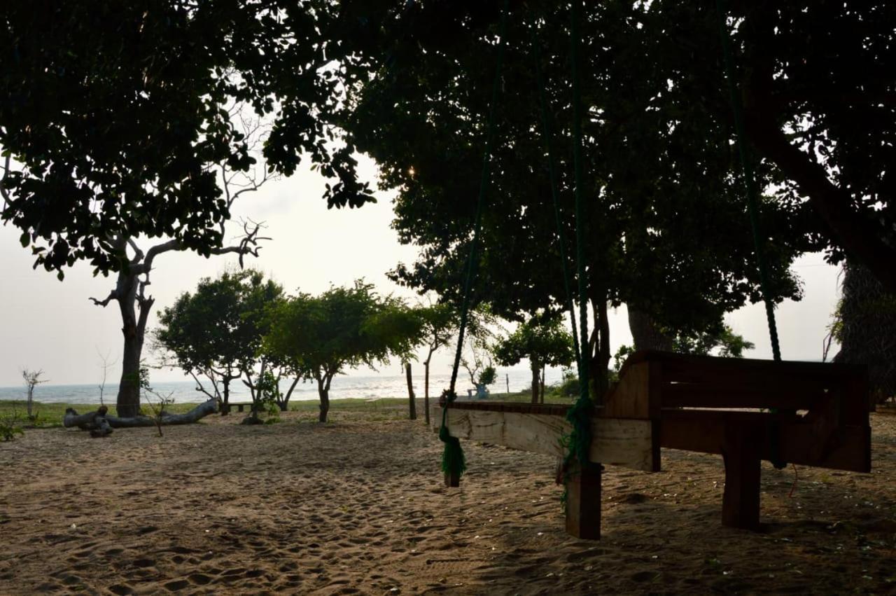 Surfing Lion Hostel Arugam Bay Exterior foto