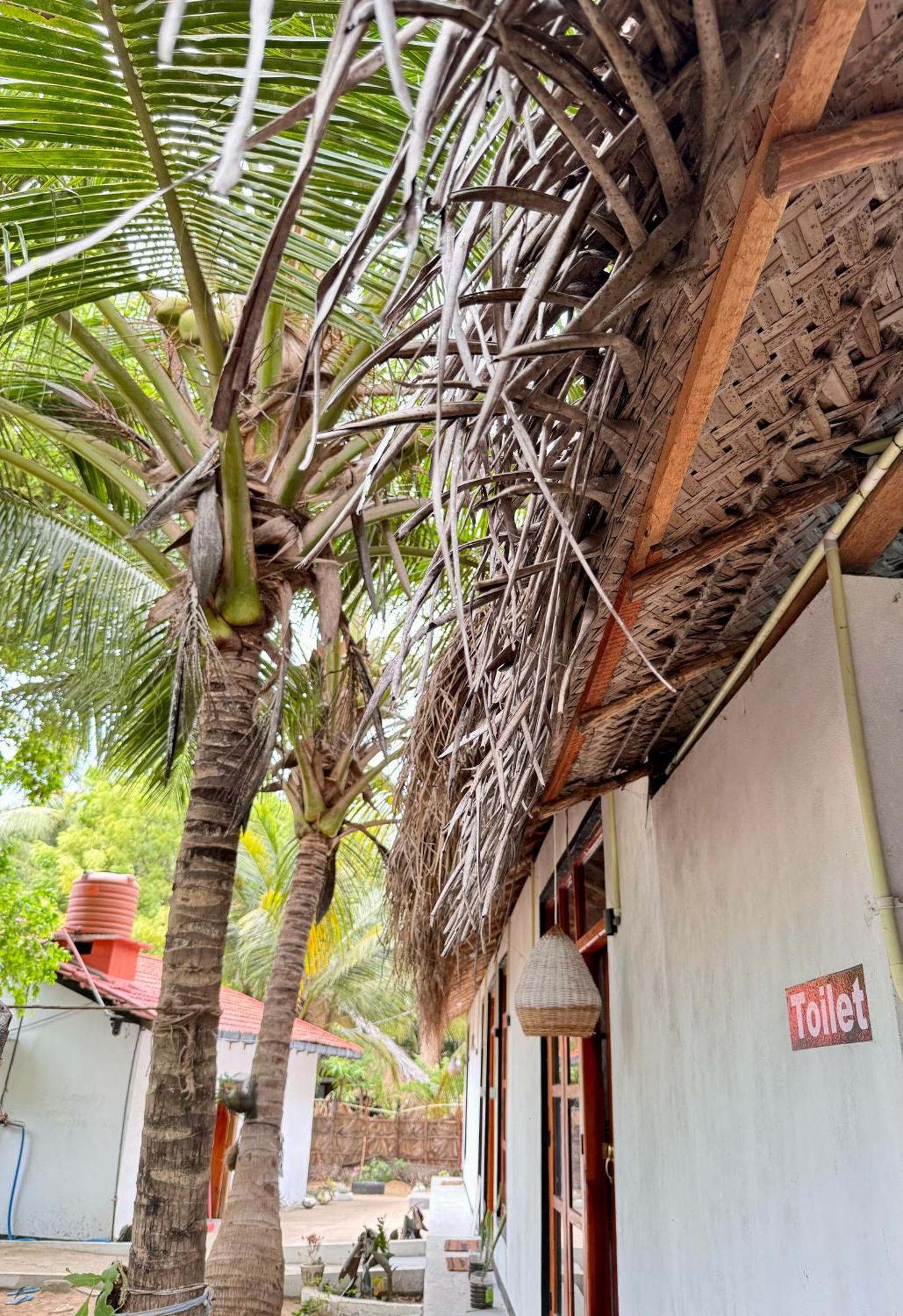 Surfing Lion Hostel Arugam Bay Exterior foto
