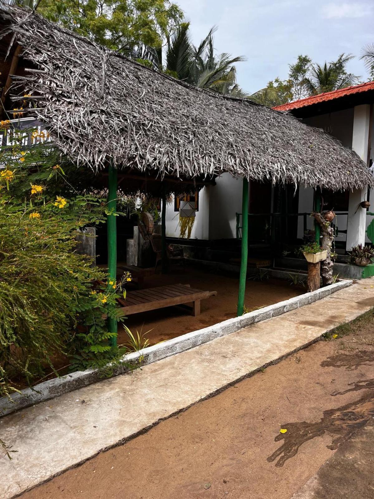 Surfing Lion Hostel Arugam Bay Exterior foto
