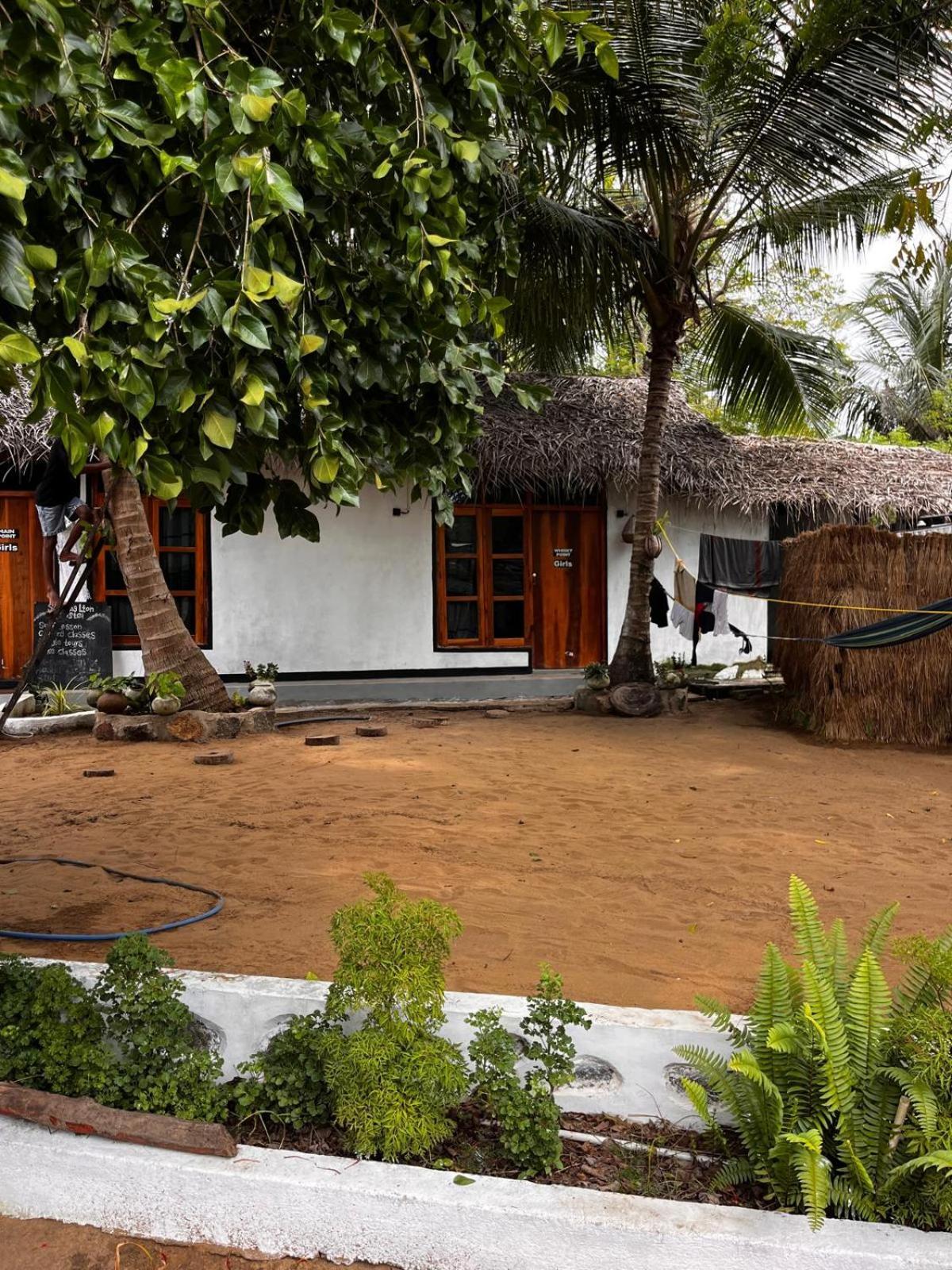 Surfing Lion Hostel Arugam Bay Exterior foto