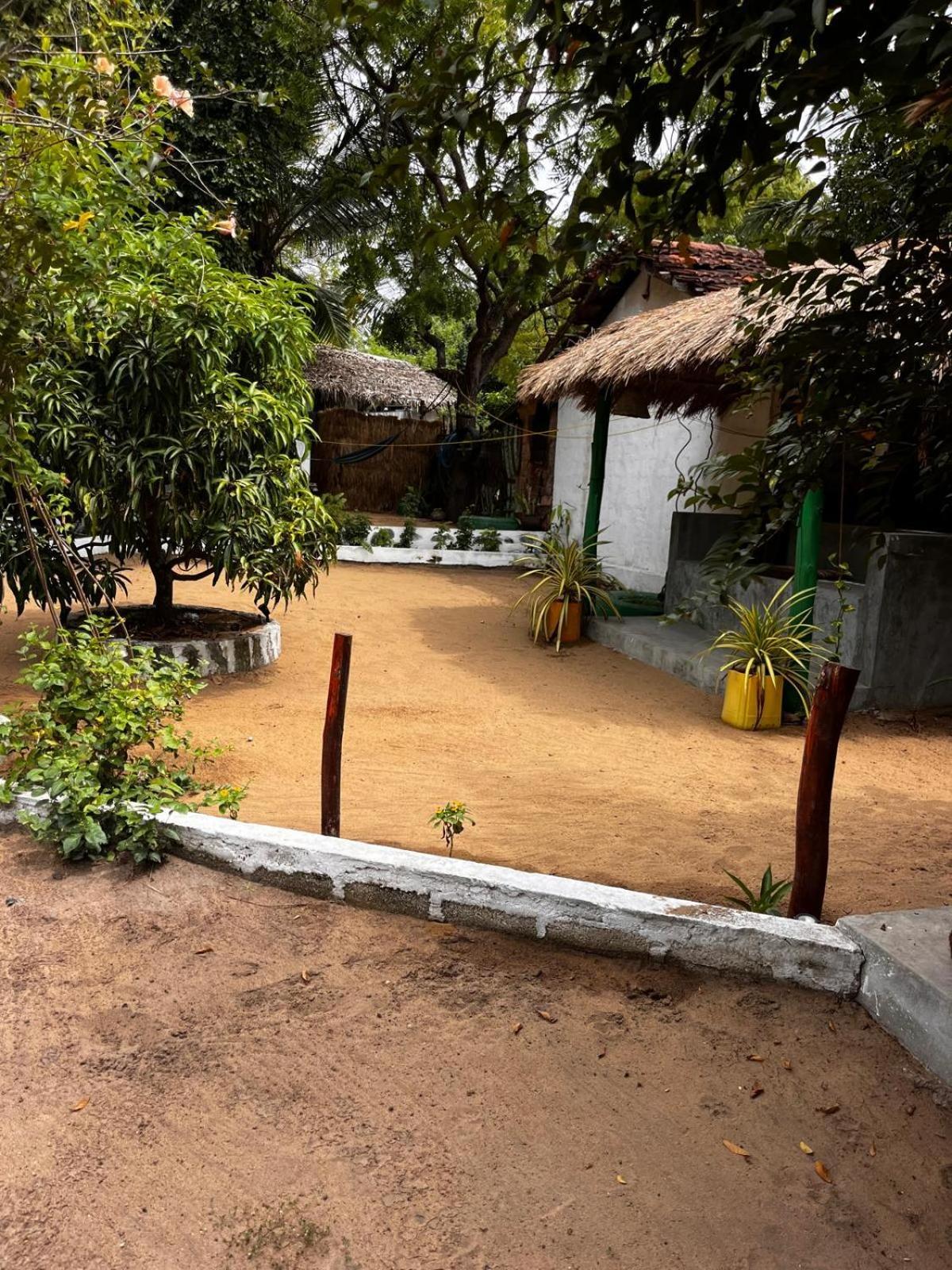 Surfing Lion Hostel Arugam Bay Exterior foto