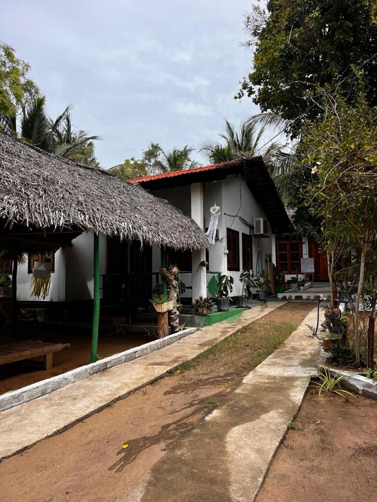 Surfing Lion Hostel Arugam Bay Exterior foto